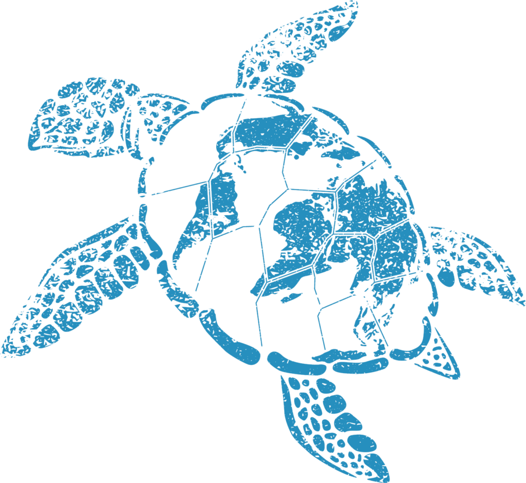 Schildkröte Weltkarte