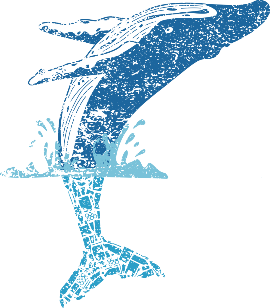Wal mit Plastikmüll aus Wasser